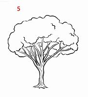 Image result for Tree Sketch Easy