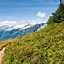 Image result for Washington National Parks Road Trip