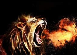 Image result for Roaring Angry Lion Wallpaper