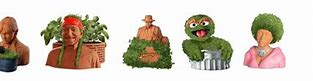 Image result for Classic Chia Pet