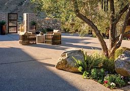 Image result for Olive Tree Landscape Design