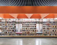 Image result for Old Chicago Public Library