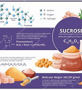 Image result for What Is Sucrose