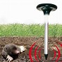 Image result for Ground Mole Traps