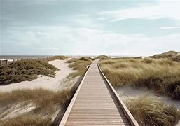 Image result for Landscaped Path Beach