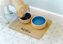 Image result for Pet Feeding Mat