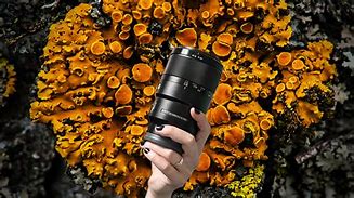 Image result for Sony 90Mm Macro Lens