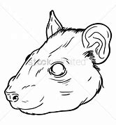 Image result for Pet Rat Drawing