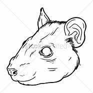 Image result for Rat Mask Drawing