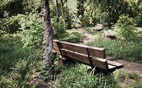 Image result for Nature Preserve Bench