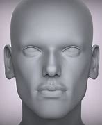 Image result for Human Head 3D Model STL