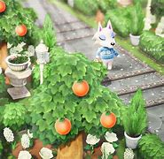 Image result for Animalcrossing Orange