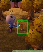 Image result for Animal Crossing New Leaf Fruit