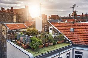 Image result for Urban Gardening Balkon