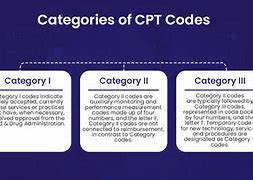 Image result for CPT Codes Look Like