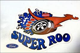 Image result for Roo Motorsports Logo