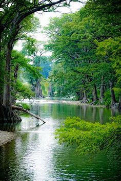 Along the Blanco River - Along the Blanco River Texas | Beautiful nature, Beautiful landscapes, Nature photography
