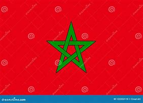 Image result for morocco flag vector