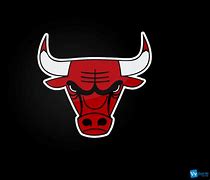 Image result for Bloomingdale Bulls Basketball Logo