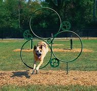 Image result for In the Hoop Dog Toys