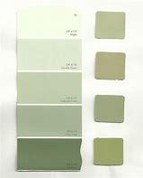 Image result for Dulux Pale Sage Green Paint