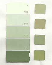 Image result for Light Sage Green Colour