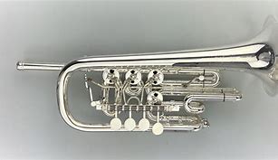 Image result for D On Trumpet