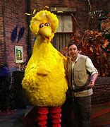 Image result for Jimmy Fallon Big Bird