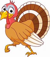 Image result for Turkey Animal Picture