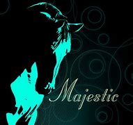 Image result for Majestic Horse Pictures