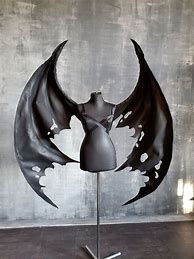 Image result for Bat Wings Costume