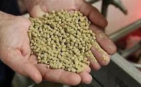 Image result for Pig Feed Oats