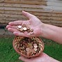 Image result for Church Offering Collection Baskets