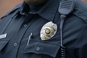 Image result for police officer badge