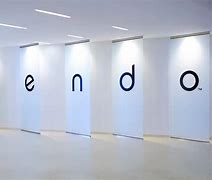 Image result for Endo Designs