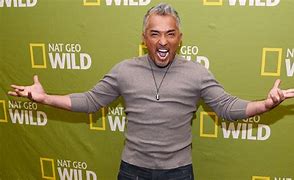 Image result for Cesar Millan Pit Bull