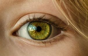 Image result for Green Eyes with Yellow Star