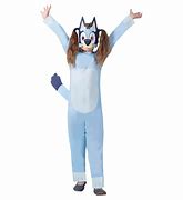 Image result for Bluey Dress Up