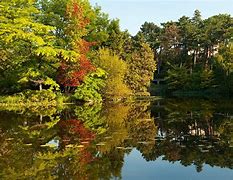 Image result for Nature Preserve Denmark Logo