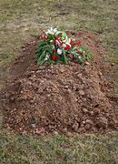 Image result for Grave Jard