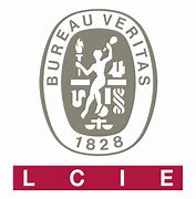 Image result for Bureau Veritas Logo HD