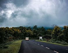 Image result for Foggy Path Landscape