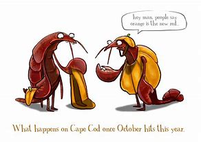 Image result for Funny Cape Cod Bag