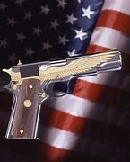 Image result for American Eagle Holding Gun