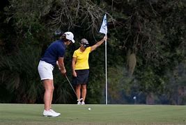 Image result for Golf Course 105A