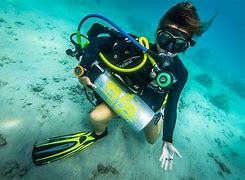 Image result for Diving