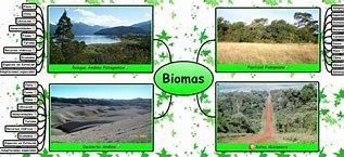 Image result for Ideas De Titulos De Los Biomas