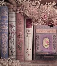 Image result for Pink Library Aesthetic