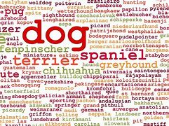 Image result for Tipos De Perros