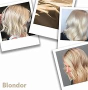 Image result for Wella Blondor